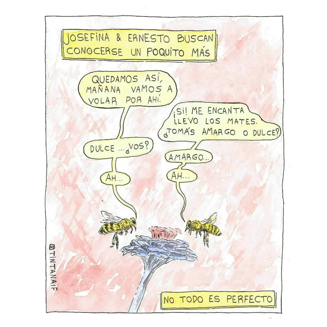 #VIÑETA